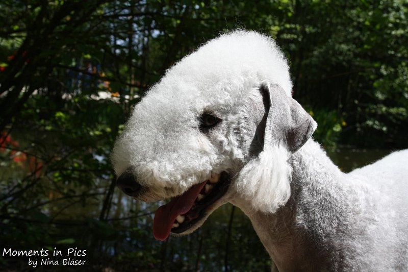 2010-05-23 Airis Blue Volshebny Svet (9)_1500x1000.jpg